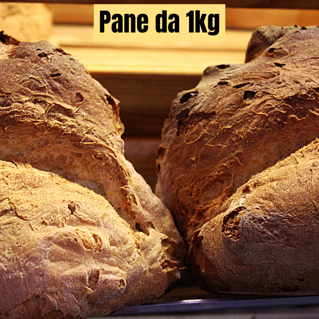 Pane di Matera da 1kg